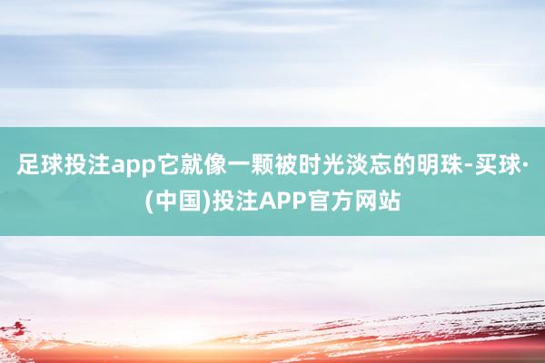 足球投注app它就像一颗被时光淡忘的明珠-买球·(中国)投注APP官方网站