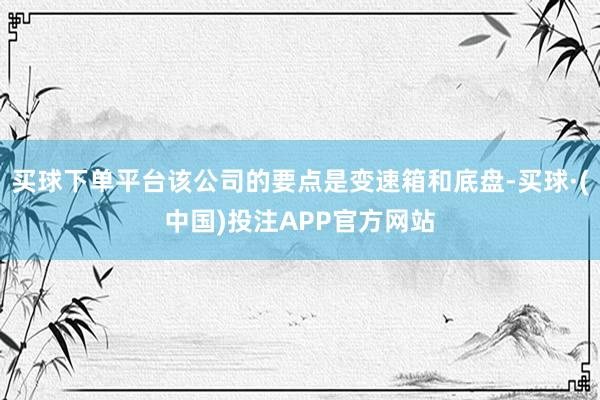买球下单平台该公司的要点是变速箱和底盘-买球·(中国)投注APP官方网站