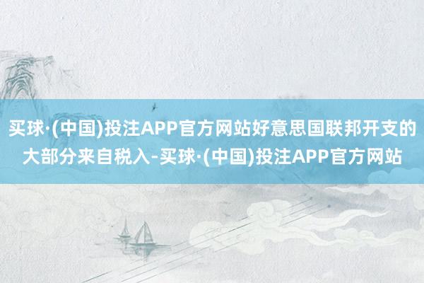 买球·(中国)投注APP官方网站好意思国联邦开支的大部分来自税入-买球·(中国)投注APP官方网站