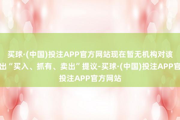 买球·(中国)投注APP官方网站现在暂无机构对该股作念出“买入、抓有、卖出”提议-买球·(中国)投注APP官方网站