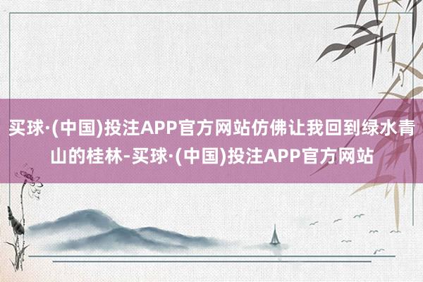 买球·(中国)投注APP官方网站仿佛让我回到绿水青山的桂林-买球·(中国)投注APP官方网站