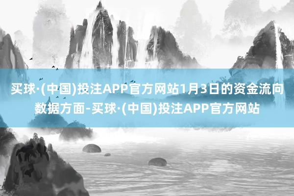 买球·(中国)投注APP官方网站1月3日的资金流向数据方面-买球·(中国)投注APP官方网站