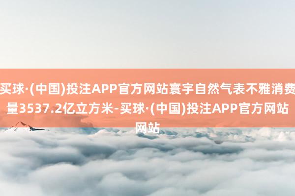 买球·(中国)投注APP官方网站寰宇自然气表不雅消费量3537.2亿立方米-买球·(中国)投注APP官方网站