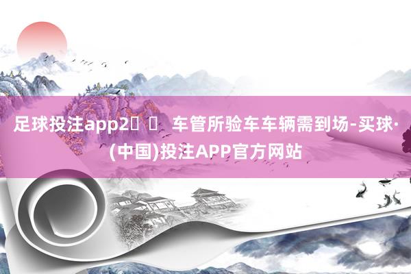 足球投注app2️⃣ 车管所验车车辆需到场-买球·(中国)投注APP官方网站