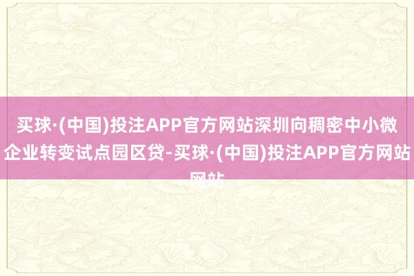 买球·(中国)投注APP官方网站深圳向稠密中小微企业转变试点园区贷-买球·(中国)投注APP官方网站