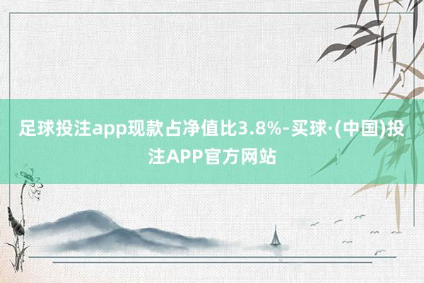 足球投注app现款占净值比3.8%-买球·(中国)投注APP官方网站