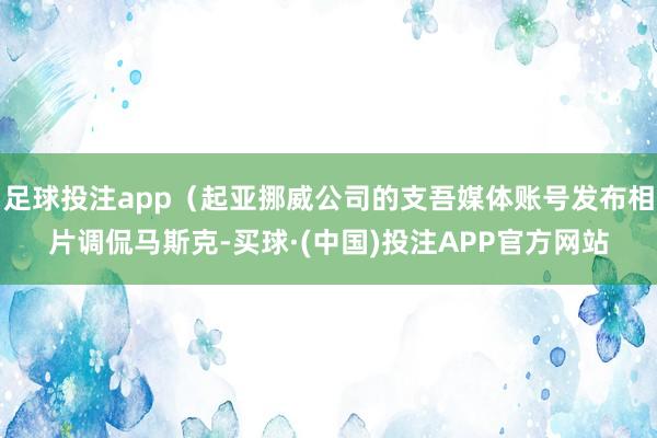 足球投注app（起亚挪威公司的支吾媒体账号发布相片调侃马斯克-买球·(中国)投注APP官方网站