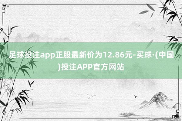 足球投注app正股最新价为12.86元-买球·(中国)投注APP官方网站