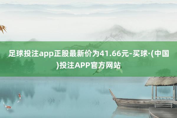 足球投注app正股最新价为41.66元-买球·(中国)投注APP官方网站