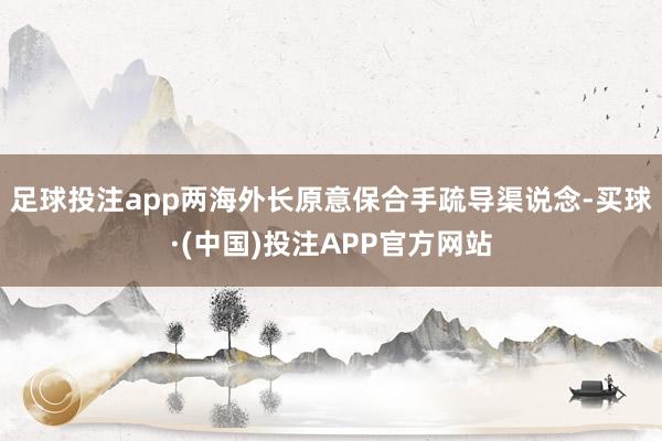 足球投注app两海外长原意保合手疏导渠说念-买球·(中国)投注APP官方网站