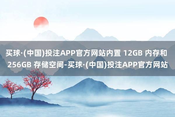 买球·(中国)投注APP官方网站内置 12GB 内存和 256GB 存储空间-买球·(中国)投注APP官方网站