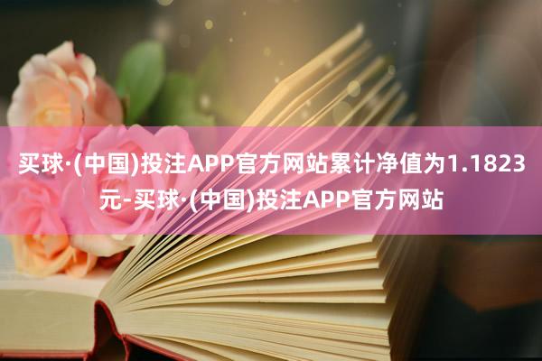 买球·(中国)投注APP官方网站累计净值为1.1823元-买球·(中国)投注APP官方网站