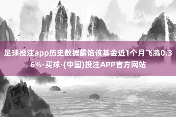 足球投注app历史数据露馅该基金近1个月飞腾0.36%-买球·(中国)投注APP官方网站