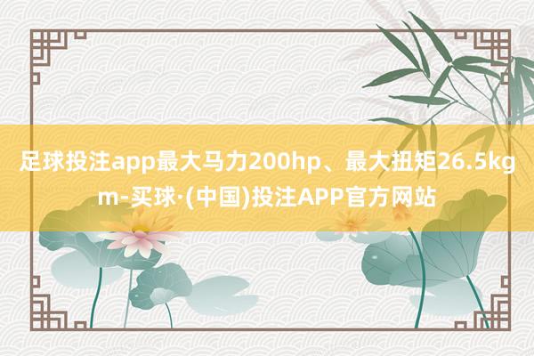 足球投注app最大马力200hp、最大扭矩26.5kgm-买球·(中国)投注APP官方网站