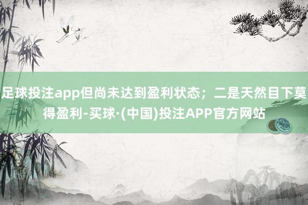 足球投注app但尚未达到盈利状态；二是天然目下莫得盈利-买球·(中国)投注APP官方网站