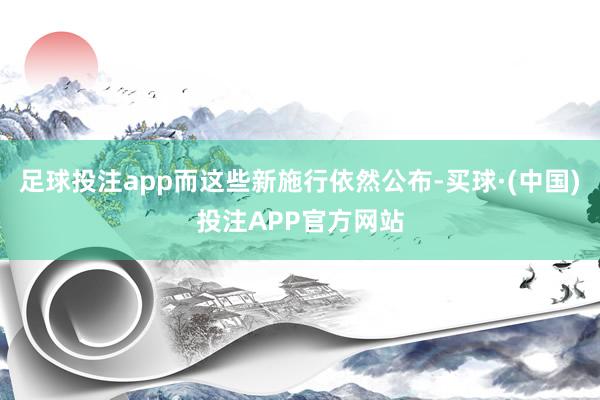 足球投注app而这些新施行依然公布-买球·(中国)投注APP官方网站