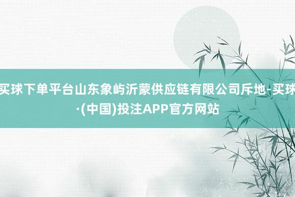 买球下单平台山东象屿沂蒙供应链有限公司斥地-买球·(中国)投注APP官方网站