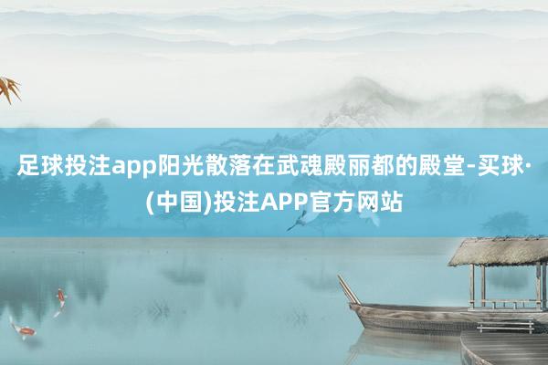 足球投注app阳光散落在武魂殿丽都的殿堂-买球·(中国)投注APP官方网站