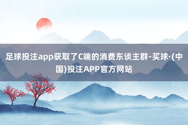足球投注app获取了C端的消费东谈主群-买球·(中国)投注APP官方网站