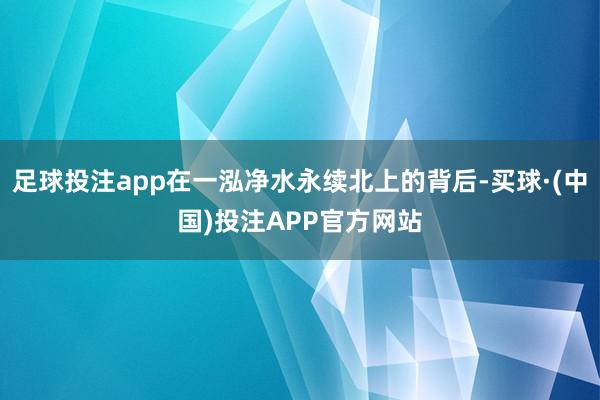 足球投注app在一泓净水永续北上的背后-买球·(中国)投注APP官方网站