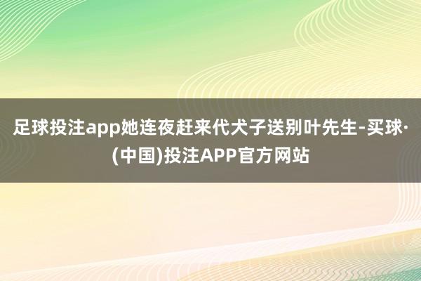 足球投注app她连夜赶来代犬子送别叶先生-买球·(中国)投注APP官方网站