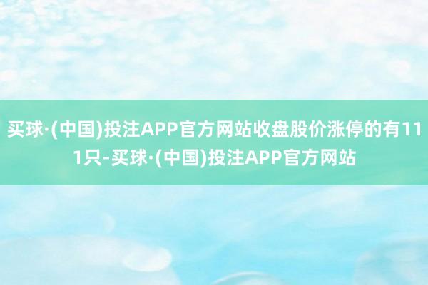 买球·(中国)投注APP官方网站收盘股价涨停的有111只-买球·(中国)投注APP官方网站