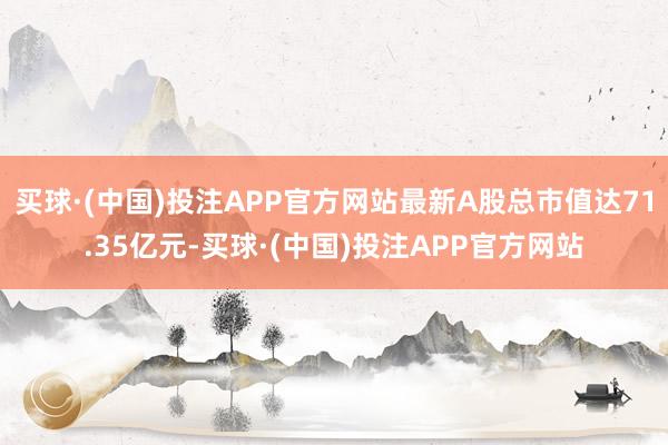 买球·(中国)投注APP官方网站最新A股总市值达71.35亿元-买球·(中国)投注APP官方网站
