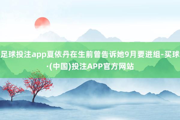 足球投注app夏依丹在生前曾告诉她9月要进组-买球·(中国)投注APP官方网站