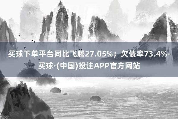 买球下单平台同比飞腾27.05%；欠债率73.4%-买球·(中国)投注APP官方网站