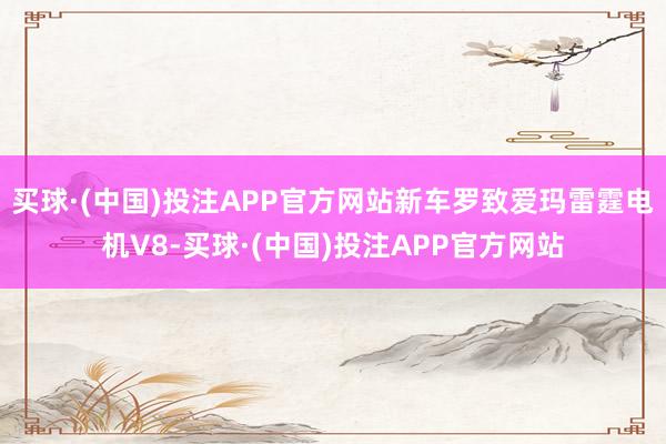 买球·(中国)投注APP官方网站新车罗致爱玛雷霆电机V8-买球·(中国)投注APP官方网站