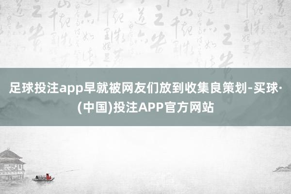 足球投注app早就被网友们放到收集良策划-买球·(中国)投注APP官方网站