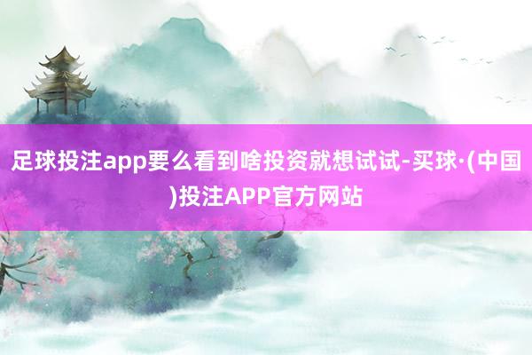 足球投注app要么看到啥投资就想试试-买球·(中国)投注APP官方网站