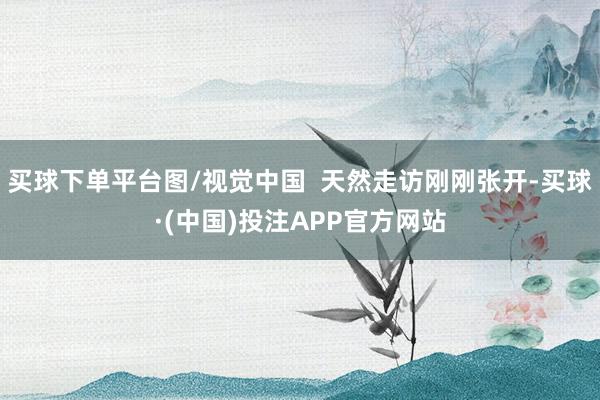 买球下单平台图/视觉中国  天然走访刚刚张开-买球·(中国)投注APP官方网站