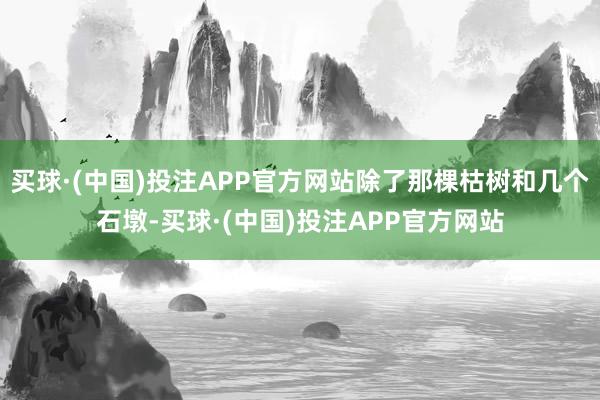 买球·(中国)投注APP官方网站除了那棵枯树和几个石墩-买球·(中国)投注APP官方网站