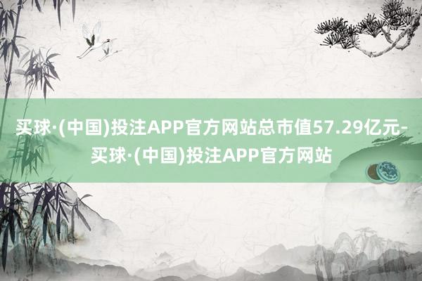 买球·(中国)投注APP官方网站总市值57.29亿元-买球·(中国)投注APP官方网站