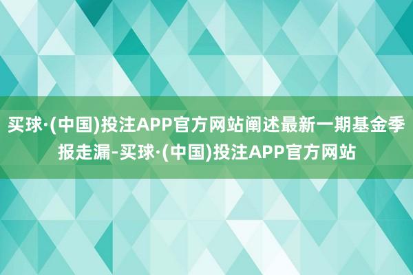 买球·(中国)投注APP官方网站阐述最新一期基金季报走漏-买球·(中国)投注APP官方网站