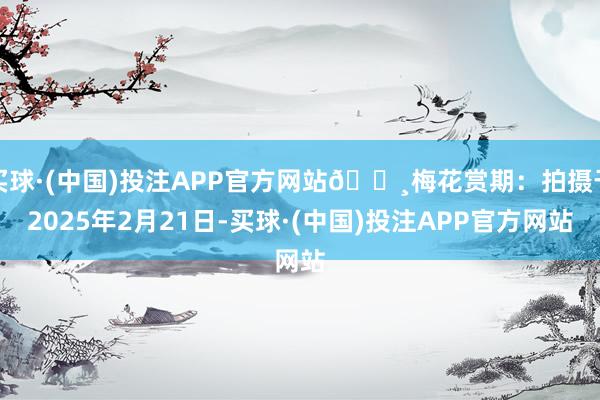 买球·(中国)投注APP官方网站🌸梅花赏期：拍摄于2025年2月21日-买球·(中国)投注APP官方网站