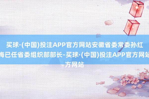 买球·(中国)投注APP官方网站安徽省委常委孙红梅已任省委组织部部长-买球·(中国)投注APP官方网站