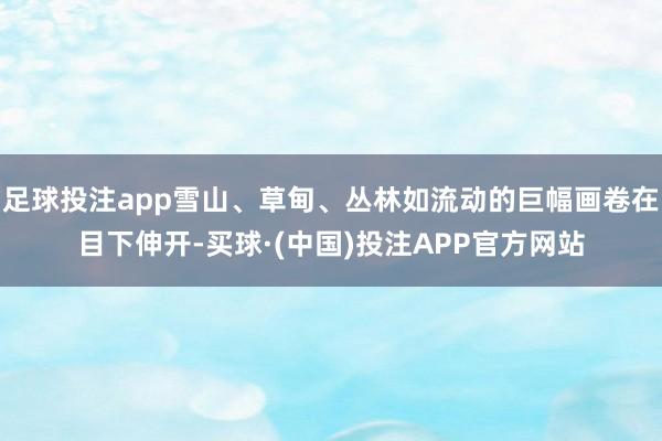 足球投注app雪山、草甸、丛林如流动的巨幅画卷在目下伸开-买球·(中国)投注APP官方网站