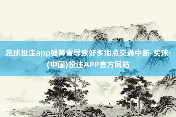 足球投注app强降雪导致好多地点交通中断-买球·(中国)投注APP官方网站
