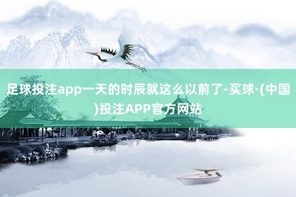 足球投注app一天的时辰就这么以前了-买球·(中国)投注APP官方网站