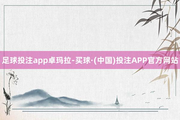 足球投注app卓玛拉-买球·(中国)投注APP官方网站