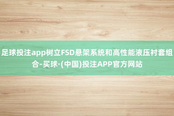 足球投注app树立FSD悬架系统和高性能液压衬套组合-买球·(中国)投注APP官方网站