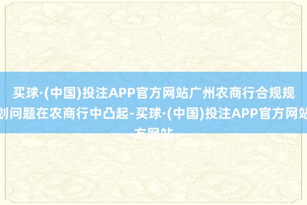 买球·(中国)投注APP官方网站广州农商行合规规划问题在农商行中凸起-买球·(中国)投注APP官方网站