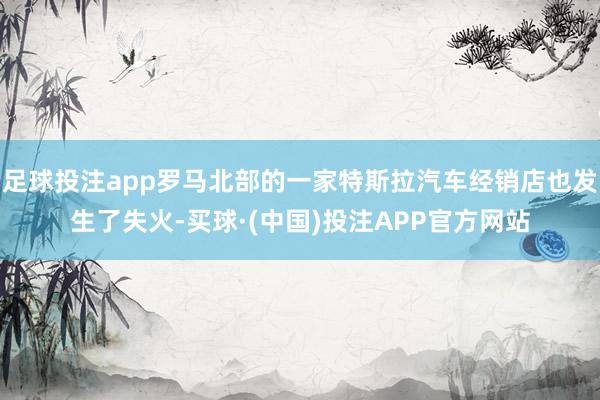 足球投注app罗马北部的一家特斯拉汽车经销店也发生了失火-买球·(中国)投注APP官方网站