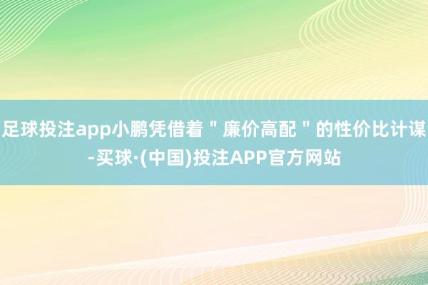 足球投注app小鹏凭借着＂廉价高配＂的性价比计谋-买球·(中国)投注APP官方网站