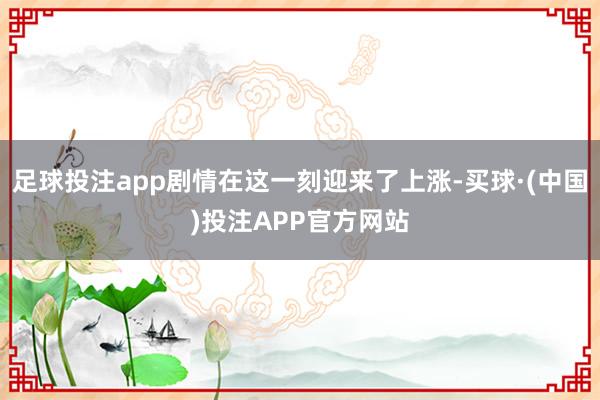 足球投注app剧情在这一刻迎来了上涨-买球·(中国)投注APP官方网站