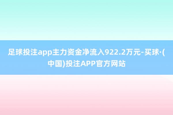 足球投注app主力资金净流入922.2万元-买球·(中国)投注APP官方网站