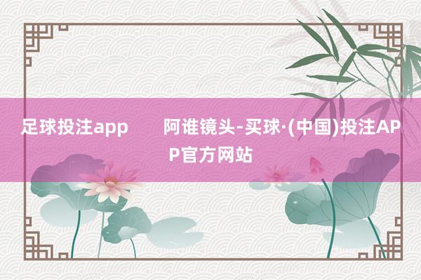 足球投注app       阿谁镜头-买球·(中国)投注APP官方网站