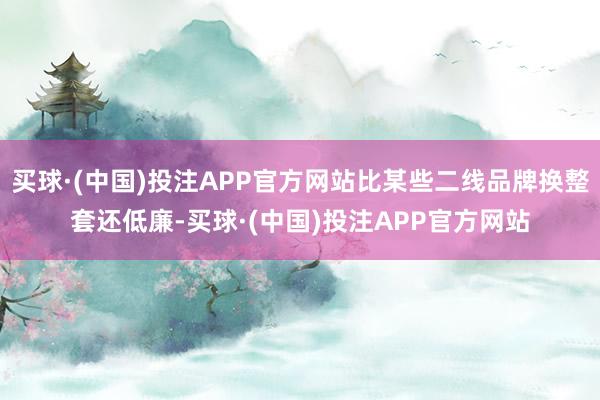 买球·(中国)投注APP官方网站比某些二线品牌换整套还低廉-买球·(中国)投注APP官方网站